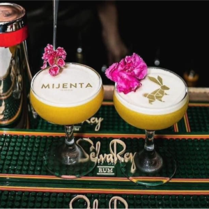 Printed Cocktail Toppers